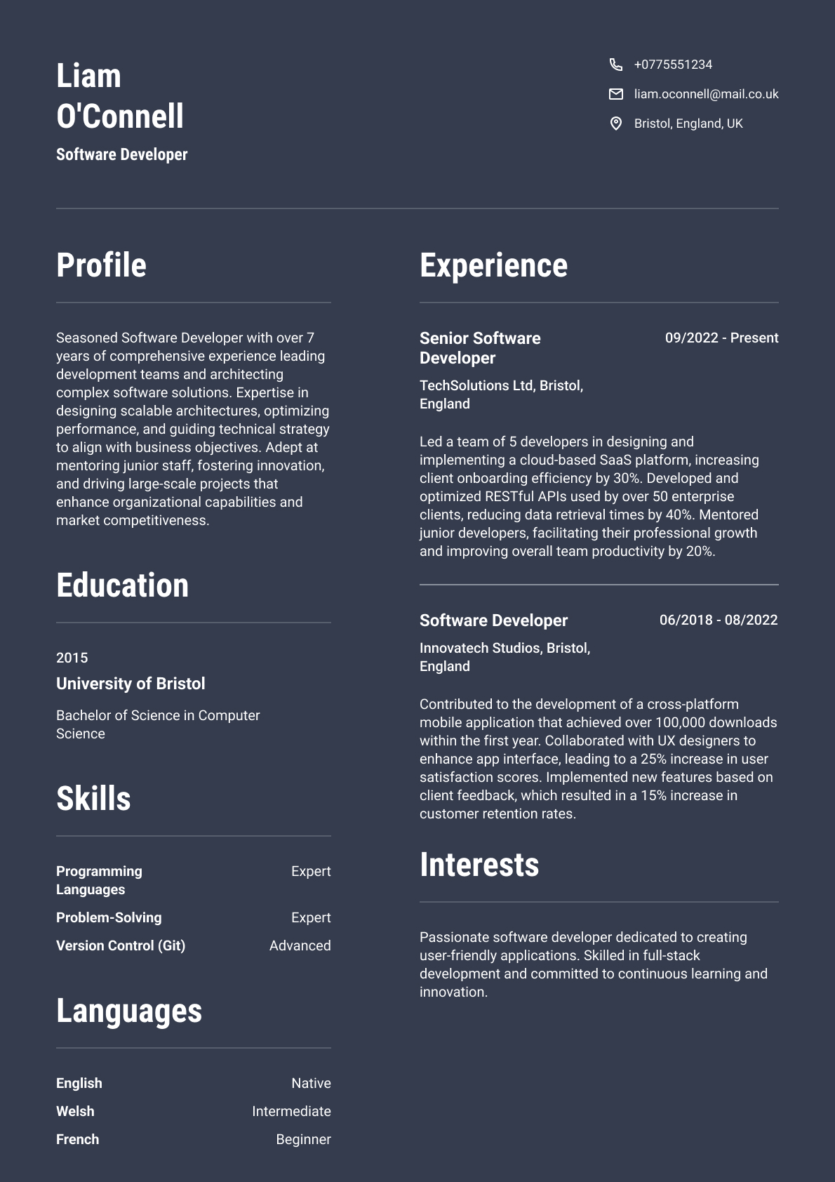 Software Developer resume template & examples