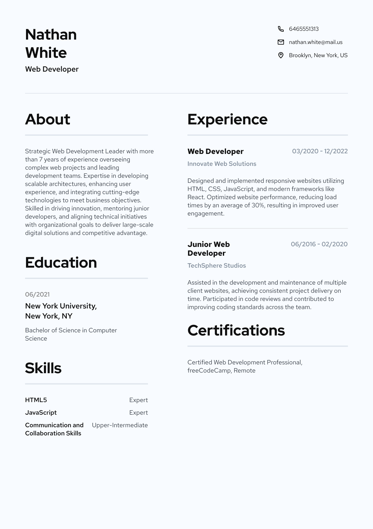 Web Developer resume template & examples